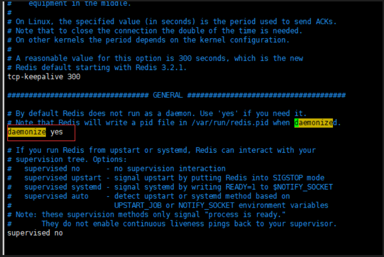 redis config